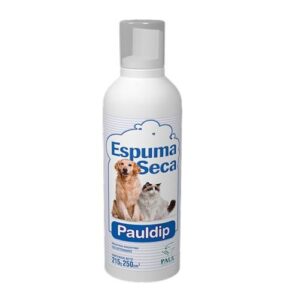 shampoo espuma seca