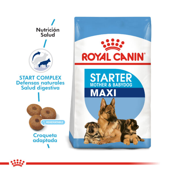 Royal Canin Starter maxi 10kg - Imagen 2