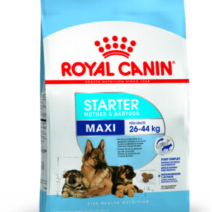 Royal Canin Starter maxi 10kg