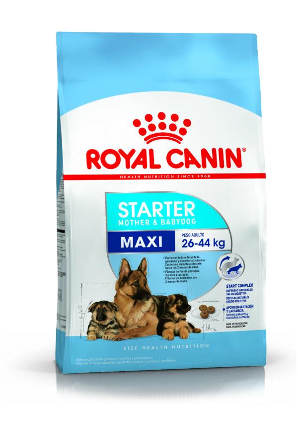 Royal Canin Starter maxi 10kg