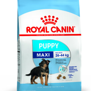 Royal Canin Maxi puppy 15kg