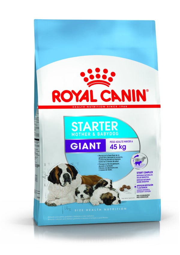Royal Canin Starter giant 10kg
