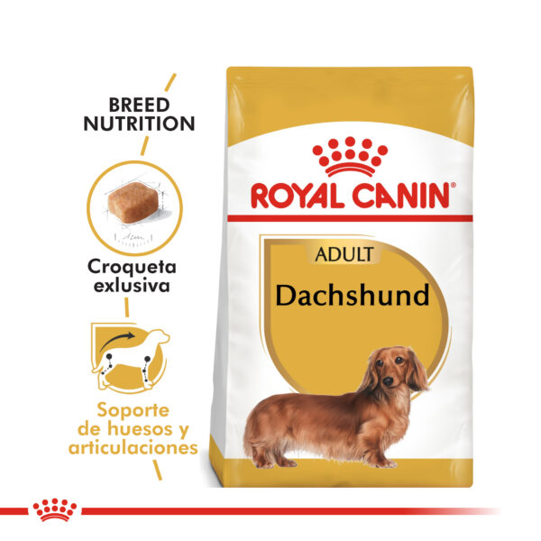 Royal Canin Dachshund adulto 3kg - Imagen 2