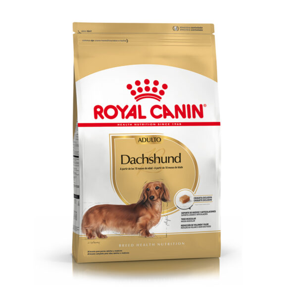 Royal Canin Dachshund adulto 3kg