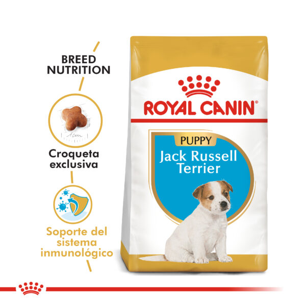 Royal Canin Jack Russel puppy 3kg - Imagen 2