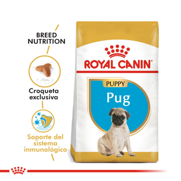 Royal Canin Pug puppy 1kg - Imagen 2