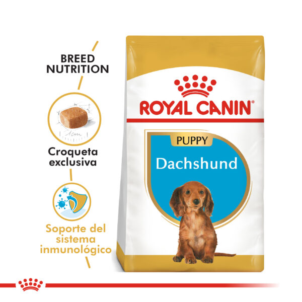Royal Canin Dachshund puppy 3kg - Imagen 2