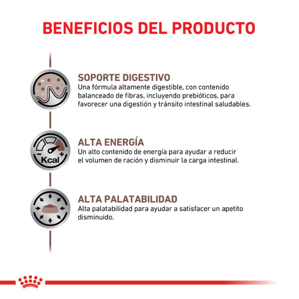 Royal Canin Gastrointestinal perro 2kg - Imagen 2