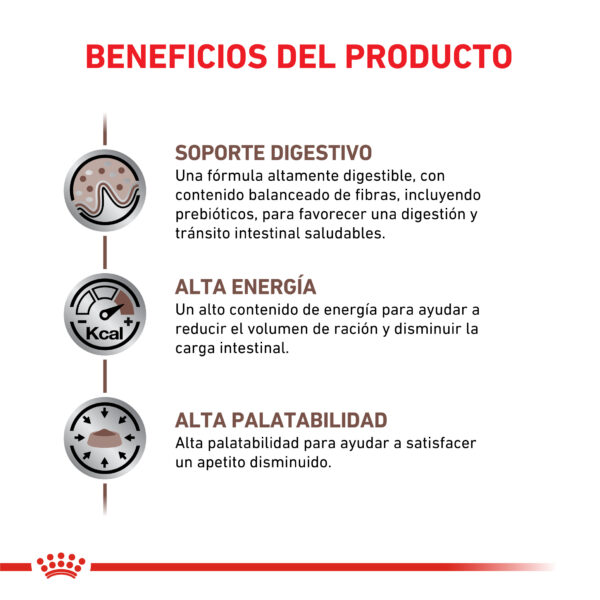 Royal Canin Gastrointestinal cat 2kg - Imagen 2