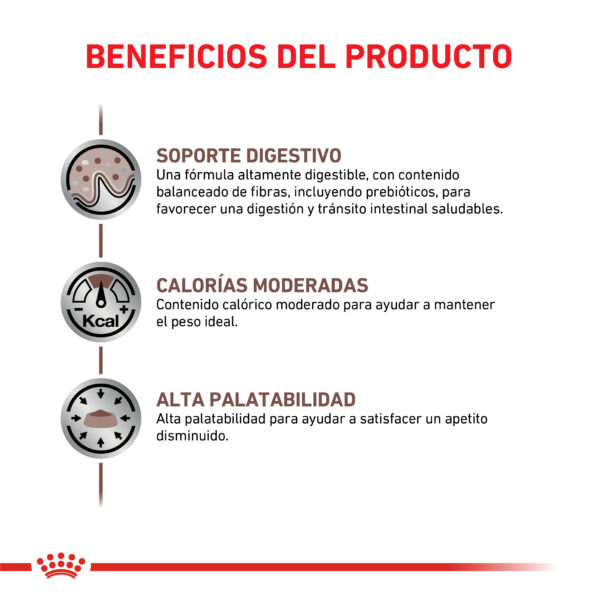 Royal Canin Gastrointestinal moderate calorie cat - Imagen 2
