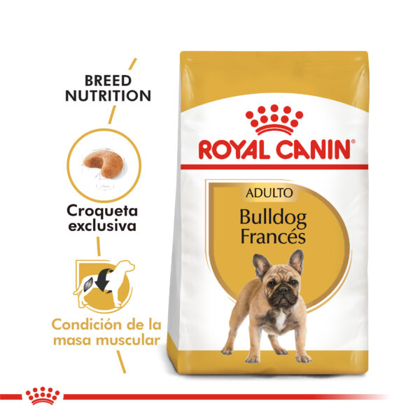 Royal Canin Bulldog Francés adulto 7 5kg - Imagen 2