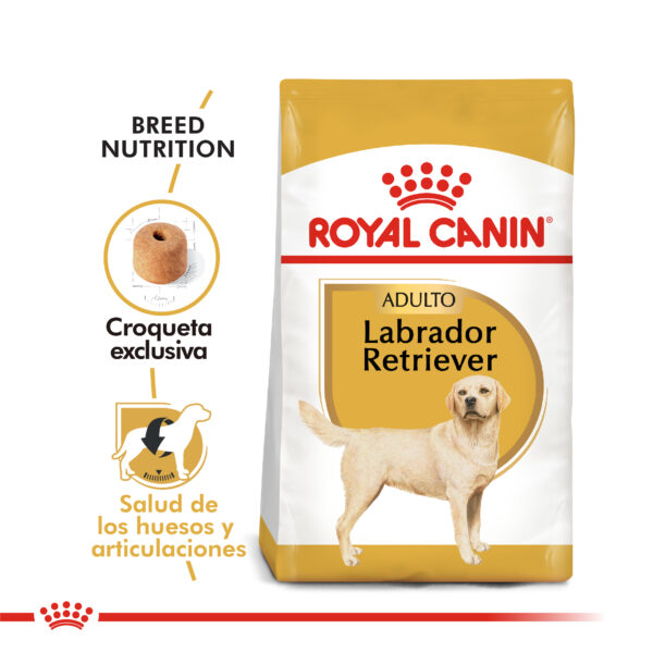 Royal Canin Labrador Retriever adulto 12kg - Imagen 2