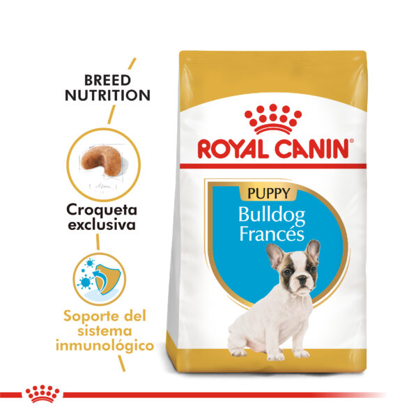 Royal Canin Bulldog Frances junior 1kg - Imagen 2