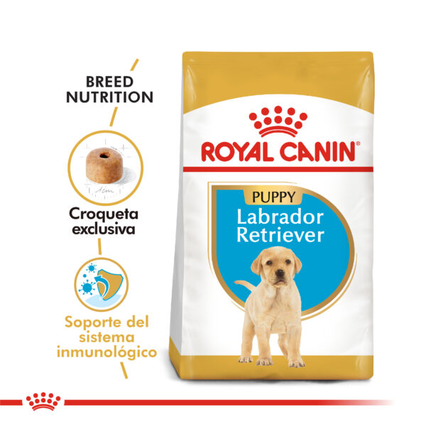 Royal Canin Labrador Retriever junior 12kg - Imagen 2