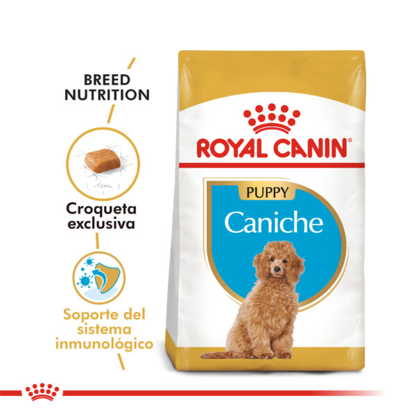 Royal Canin Caniche junior 1kg - Imagen 2