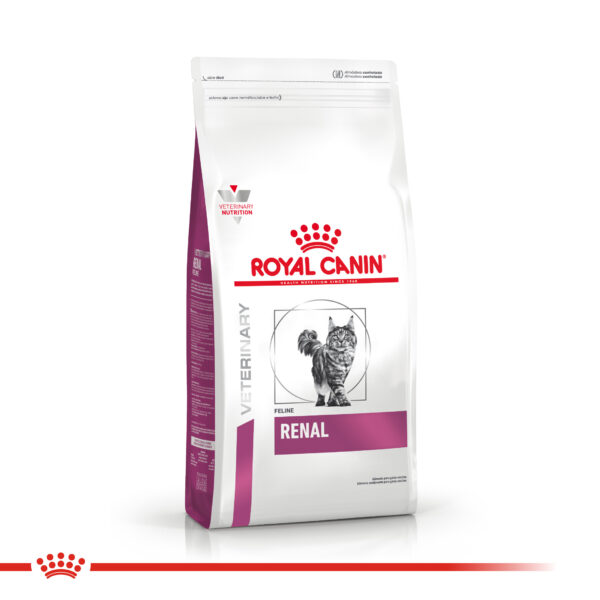 Royal Canin Renal gato 2kg