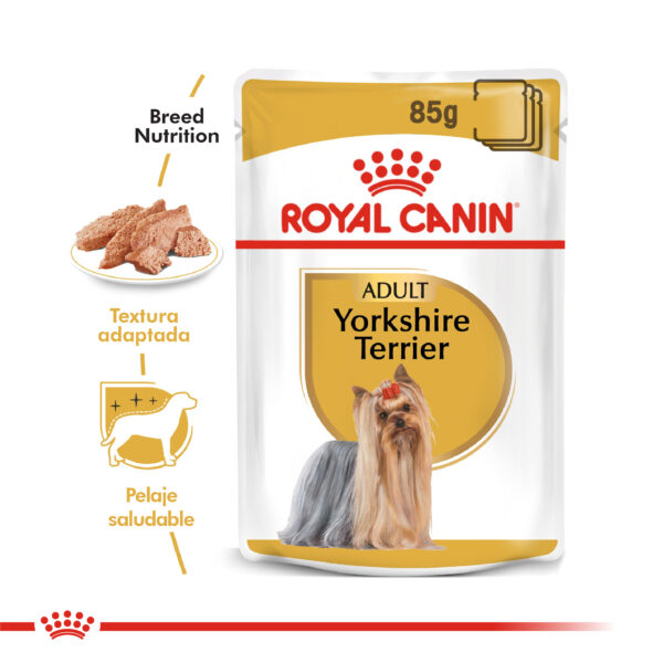 Royal Canin  pouch Yorkshire (12x85g) - Imagen 2