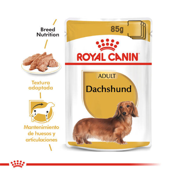 Royal Canin pouch Dachshund  (12x85) - Imagen 2