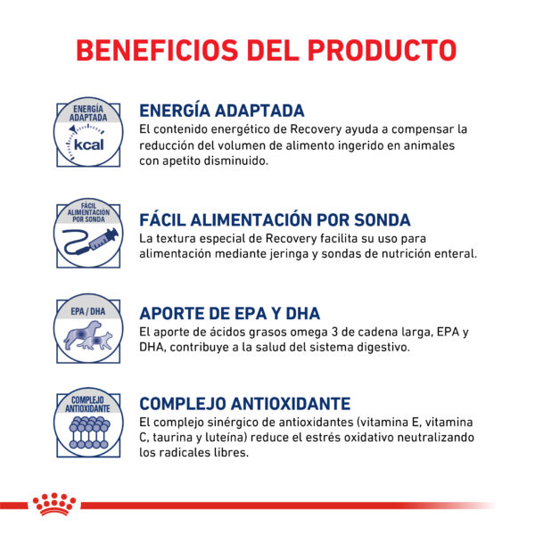 Royal Canin lata Recovery - Imagen 2
