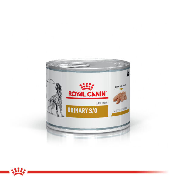 Royal Canin lata Urinary perro (6x200g)