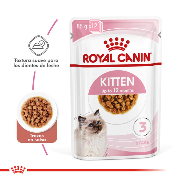 Royal Canin pouch kitten - Imagen 2