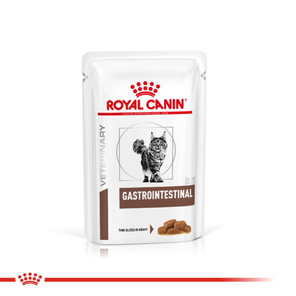 Royal Canin pouch gastrointestinal gato