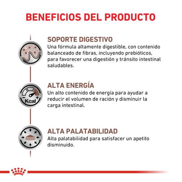 Royal Canin pouch gastrointestinal gato - Imagen 2