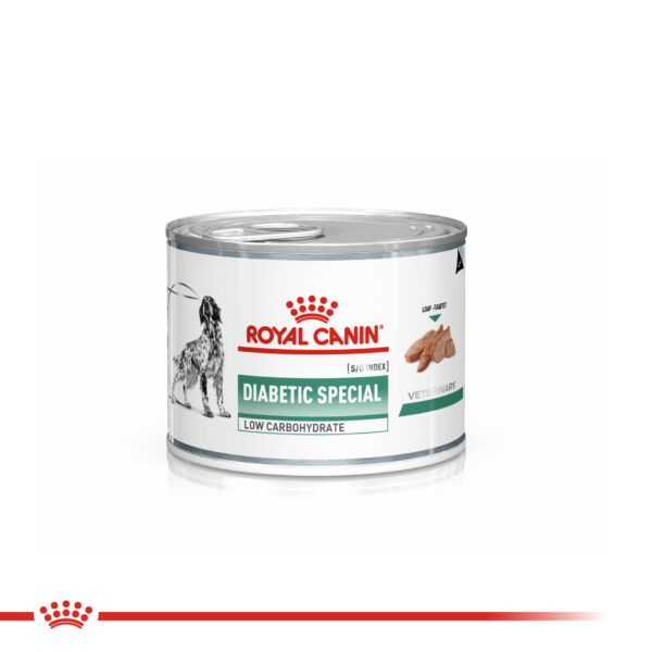 Royal Canin Diabetic special perro (6x200g)