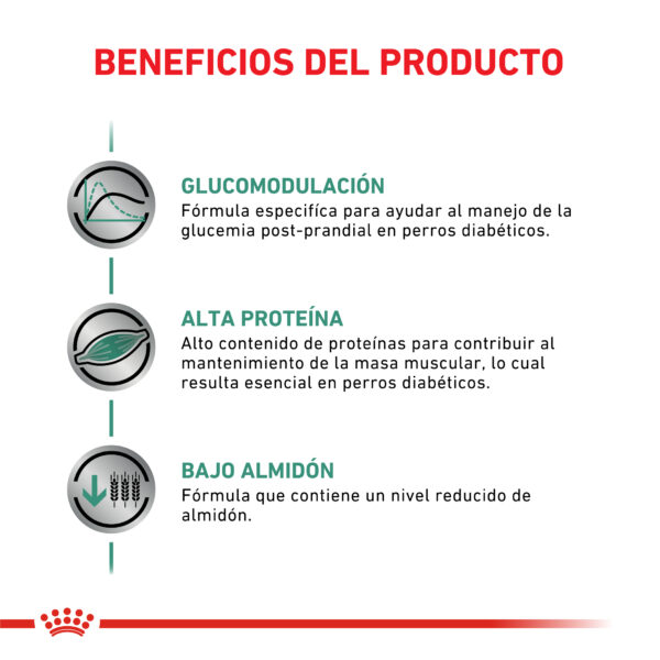 Royal Canin Diabetic special perro (6x200g) - Imagen 2