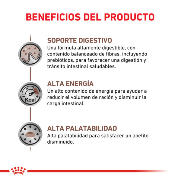 Royal Canin lata Gastrointestinal perro (6x200g) - Imagen 2