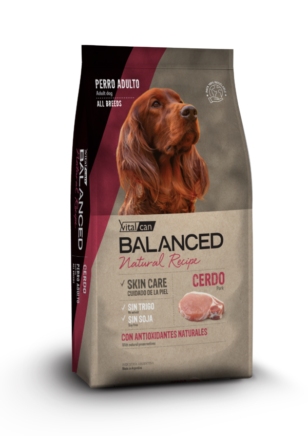Balanced PA Exclusive Recipe Cerdo y Arroz 15 Kg