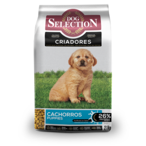 Dog Selection cachorro 21kg