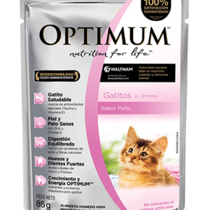 Optimum pouch kitten