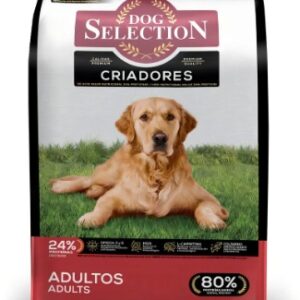 Dog Selection adulto criadores 21KG