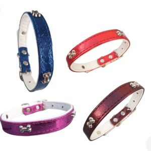 Collar con brillo y huesitos grande