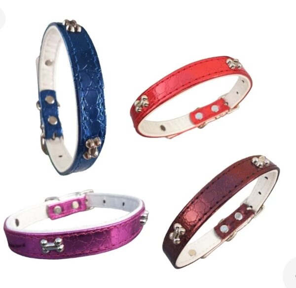 Collar con brillo y huesitos grande