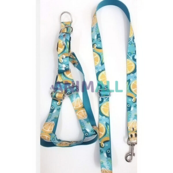Conjunto pretal sublimado Nº1 - Imagen 2