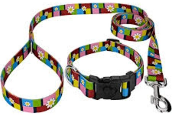 Conjunto collar regulable sublimado Nº1 - Imagen 3
