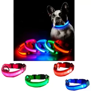 Collar luz led