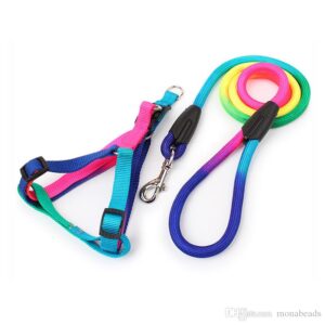 Conjunto arcoiris alpino grande
