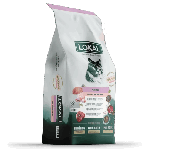 Lokal gato adulto 3kg