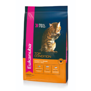 Eukanuba gato adulto 15kg
