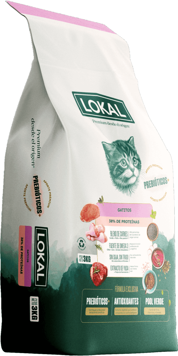 Lokal kitten 3kg