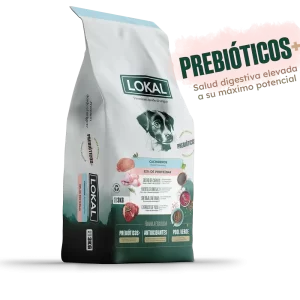 Lokal cachorro pequeño 7 5kg