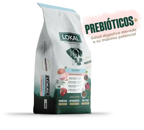 Lokal cachorro pequeño 3kg