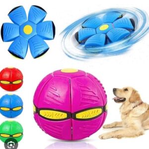 Pelota plegable