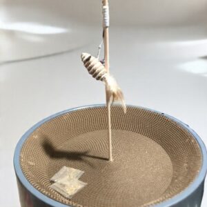 Cuenco Plastico con Caña