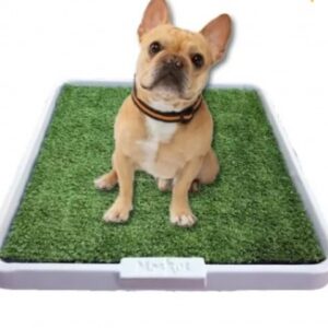 Carpet premium grande hembra