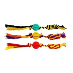 Juguete Soga con pelota dental chica y nudo extra